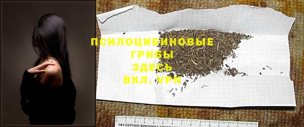 соль ск Балабаново