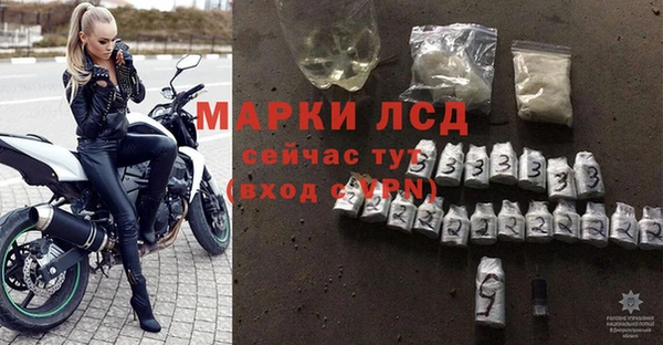 ешки Белокуриха