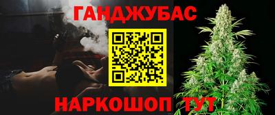 стаф Тула