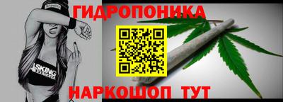 спиды Аргун