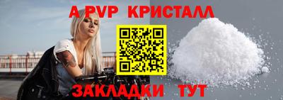 стаф Тула