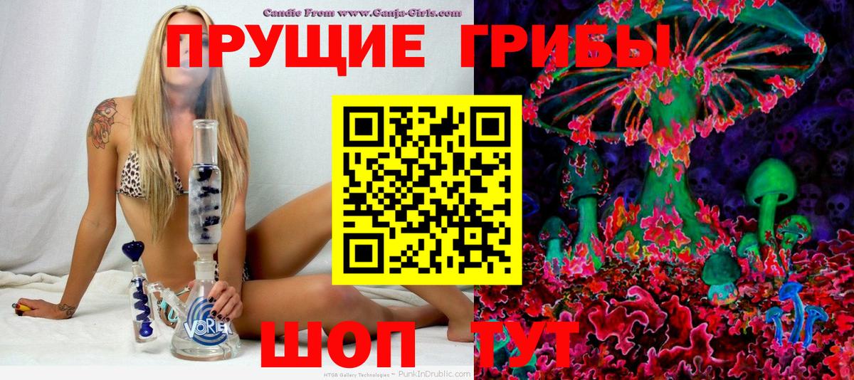 Чебоксары  Псилоцибиновые грибы Cubensis  Вход с VPN 
