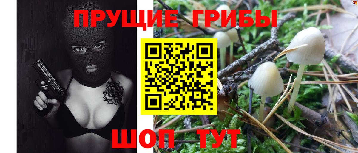 Псилоцибиновые грибы мухоморы Чебоксары